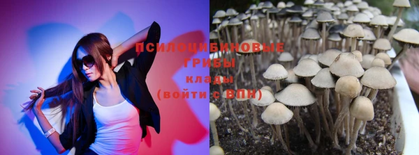 сатива Вязники