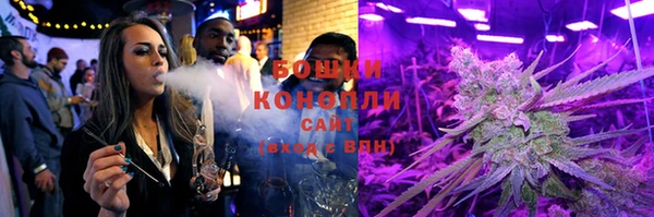 сатива Вязники