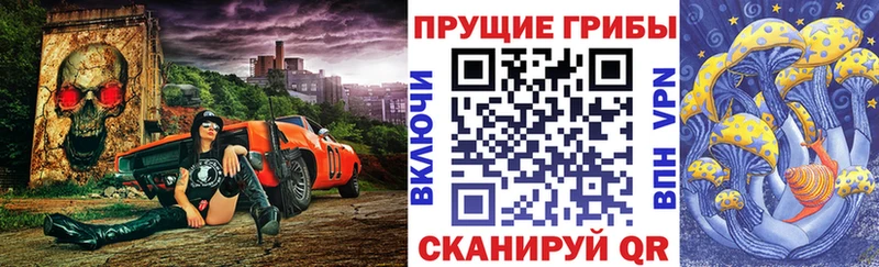 Псилоцибиновые грибы Psilocybe Саров